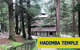 hadimba temple - manali tour packages