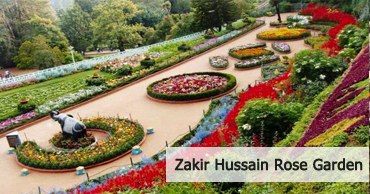 zakir-hussain-rose-garden-chandigarh